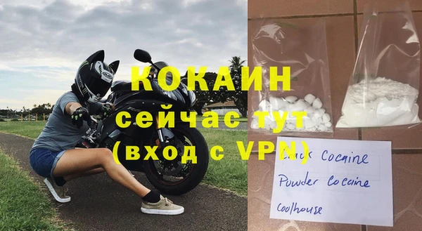 шишки Каменногорск